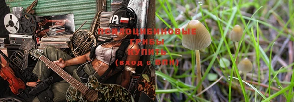 первитин Няндома