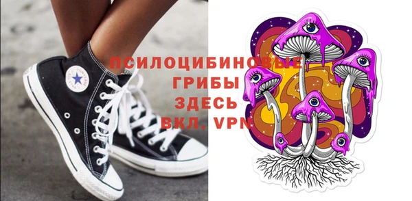 гашиш Арсеньев