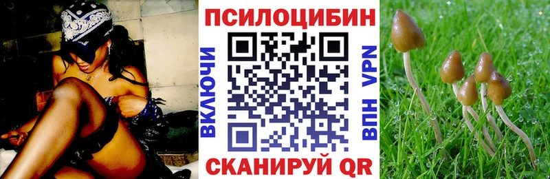 магазин продажи наркотиков  мега онион  Псилоцибиновые грибы Cubensis  Ржев 